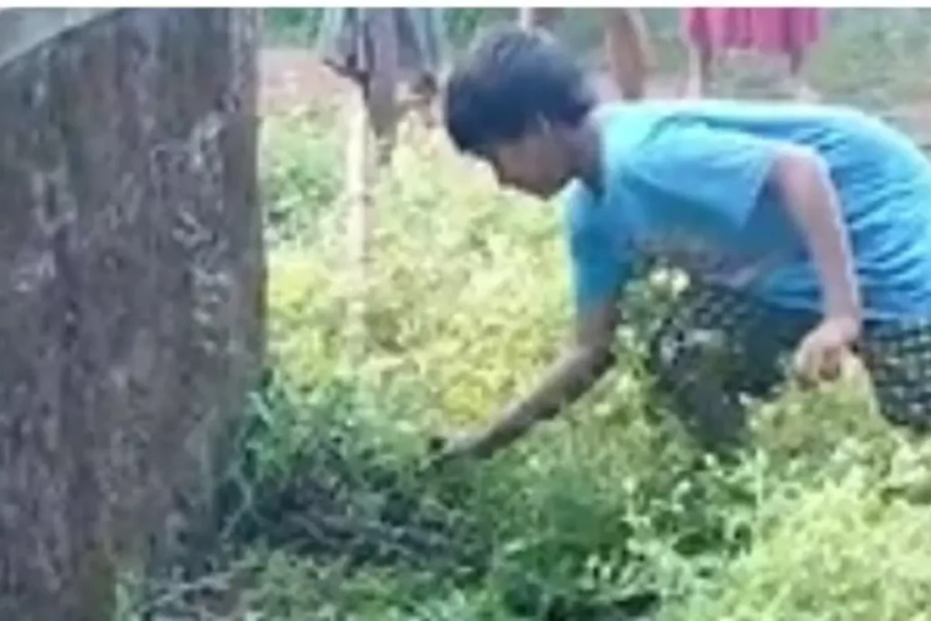 Viral Video