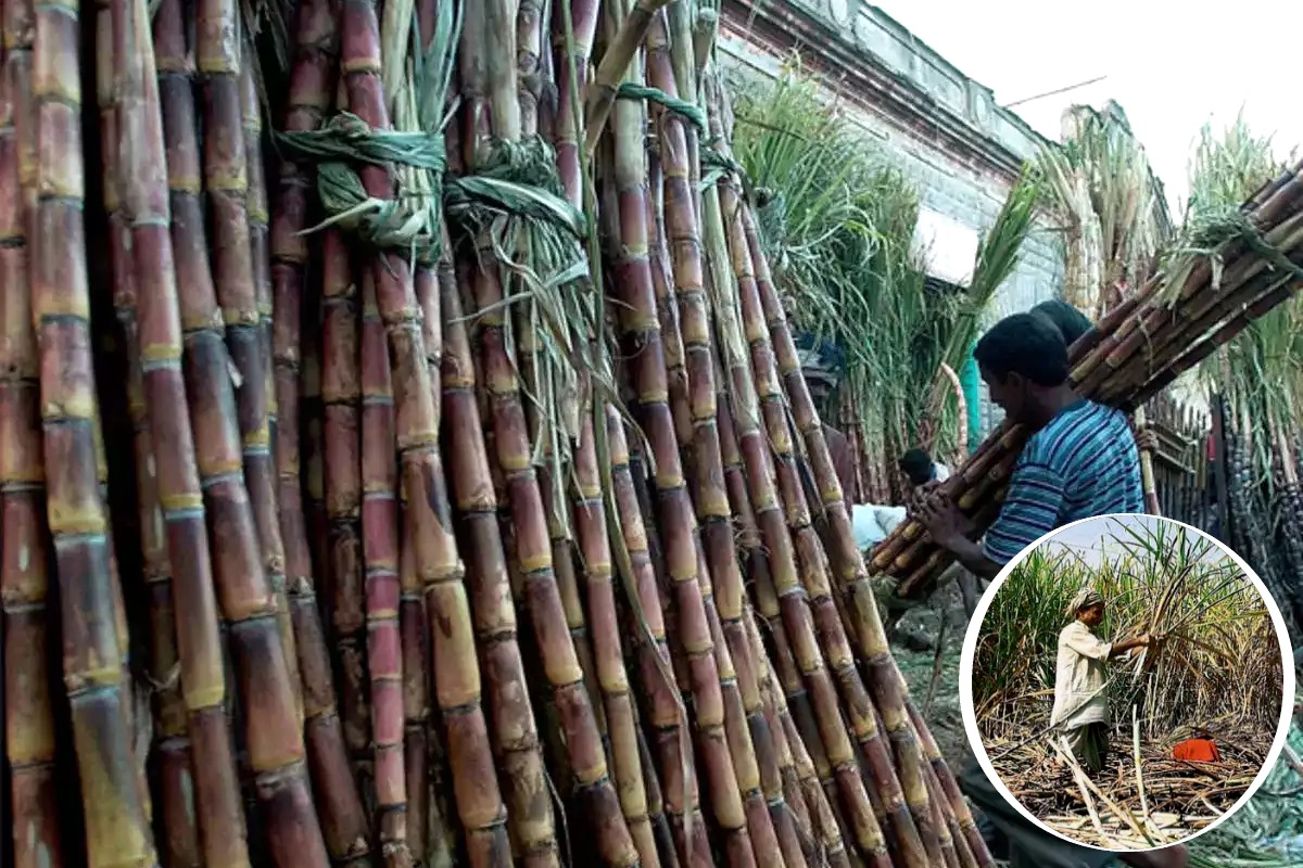 sugarcane-price-hike farmers