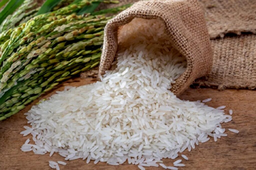 Bharat Brand Rice