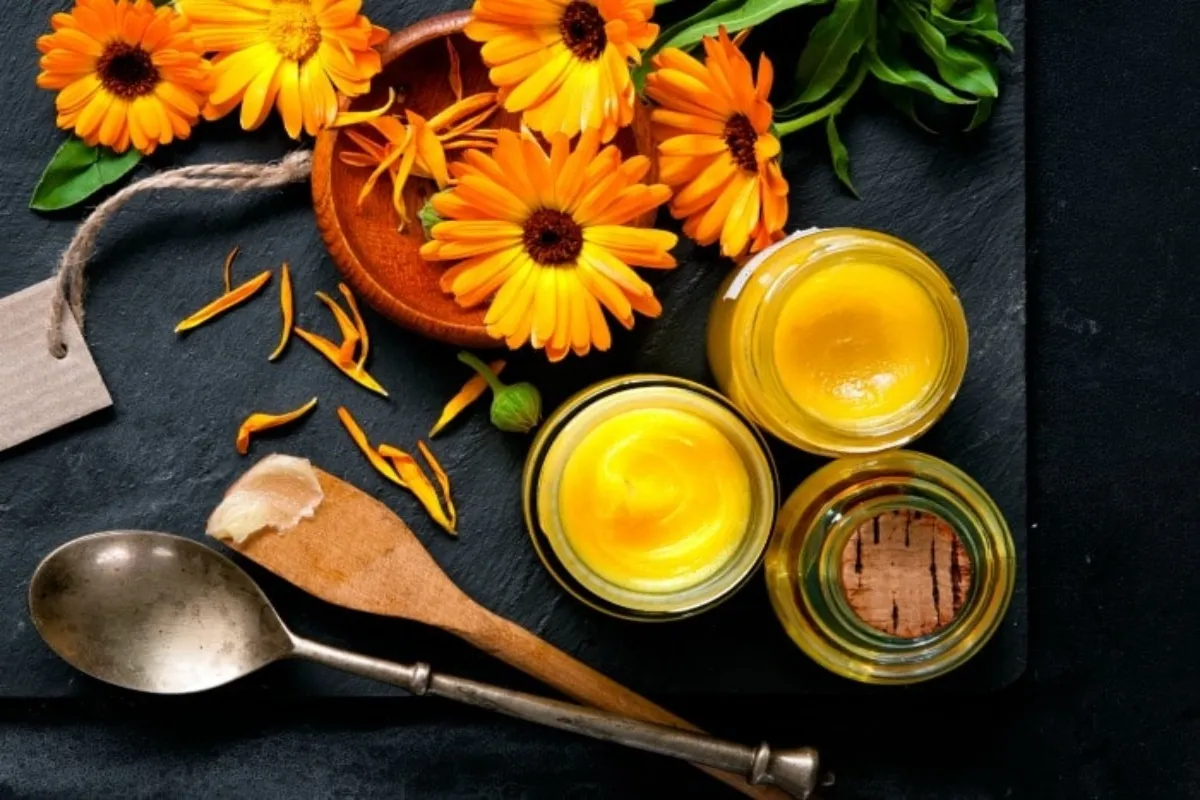 Calendula Flower Benefits: स्किन, बालों और शरीर के लिए कैलेंडुला सबसे बेस्ट, जानें इस्तेमाल करने का तरीका