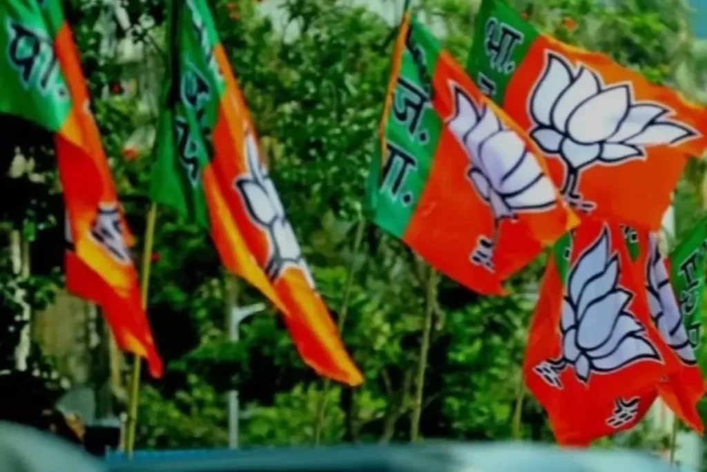 BJP Flag