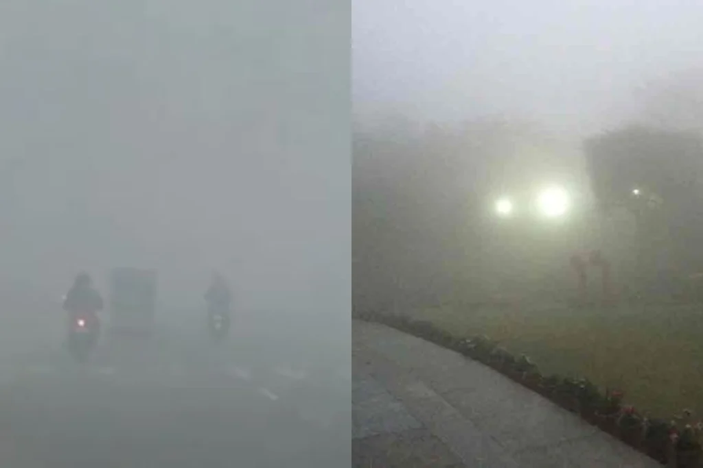 Fogg