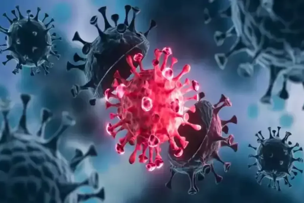 Corona virus