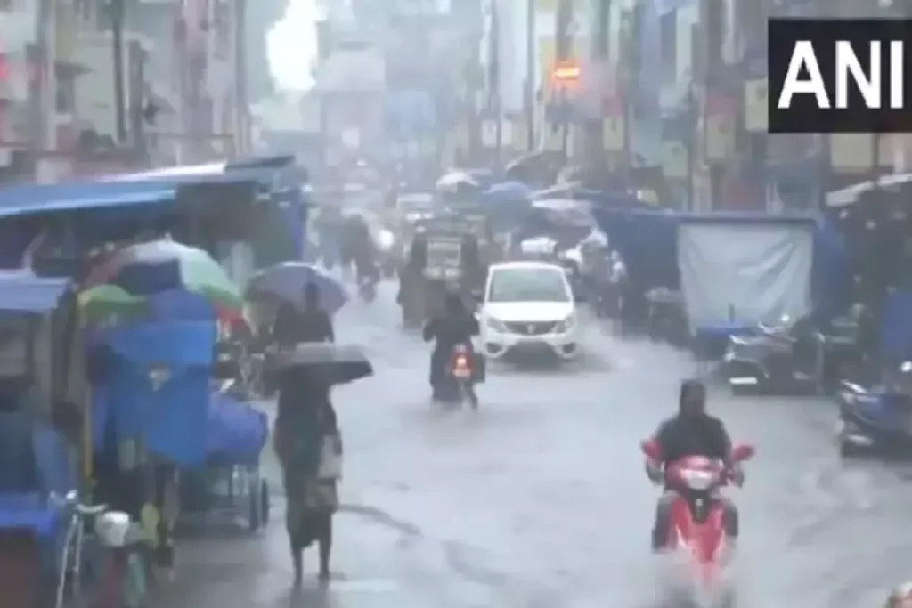 Rain