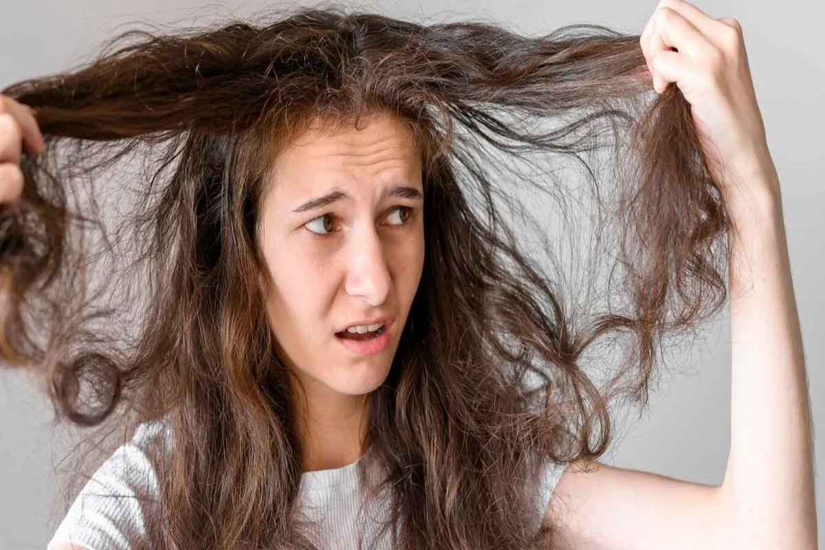 Winter Hair Care Tips: सर्दियों में बाल हो जाते है रूखे और बेजान? धोने से पहले अपनाएं ये घरेलू नुस्खा