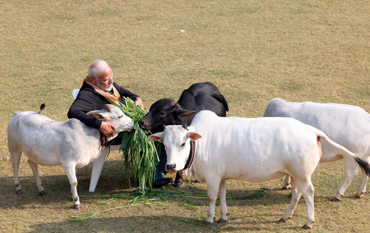 PM Modi Cow
