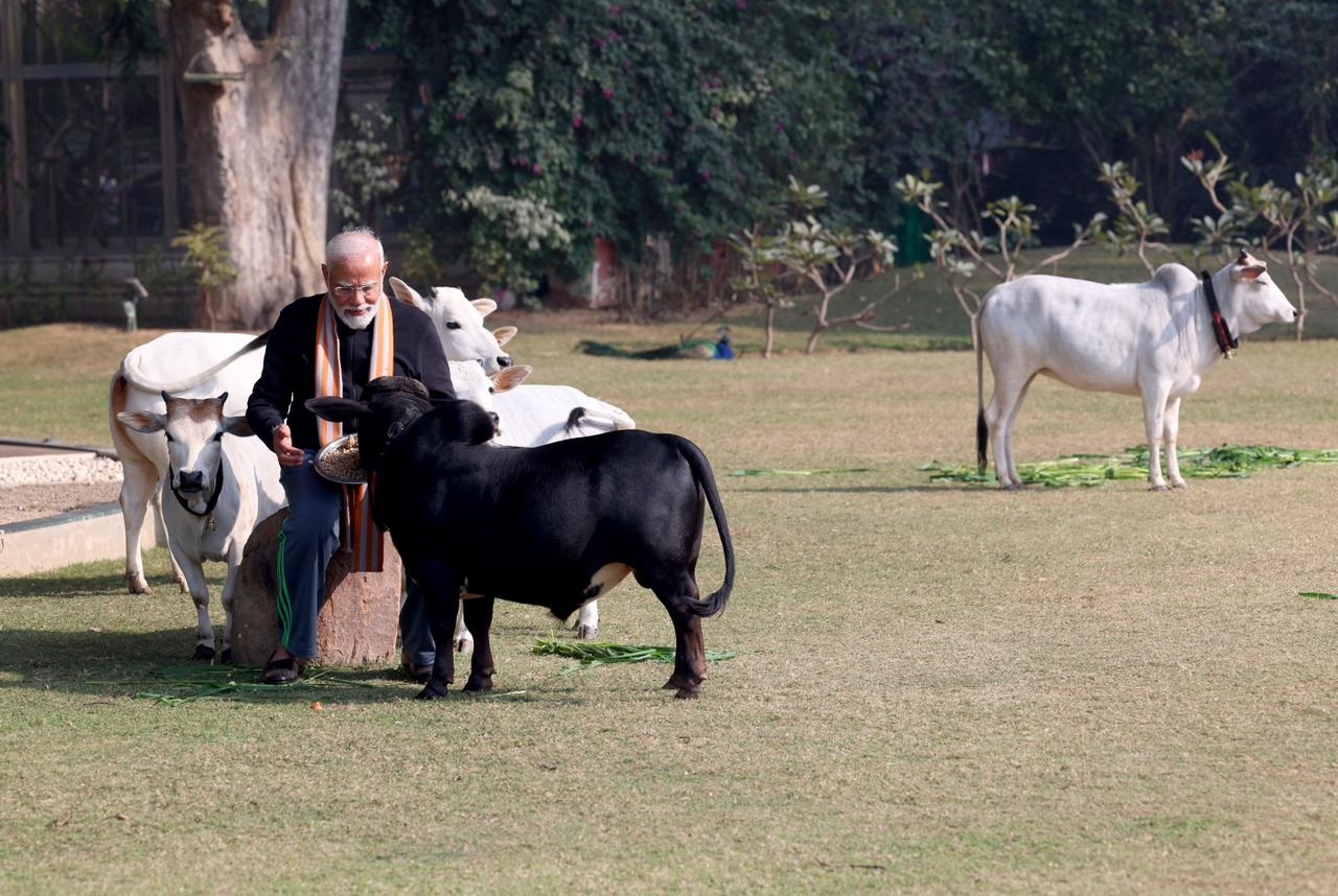 PM Modi Cow 