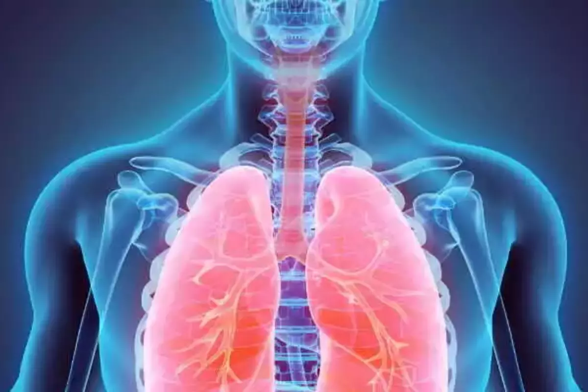 lungs disease