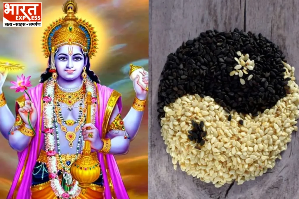 shattila ekadashi 2024