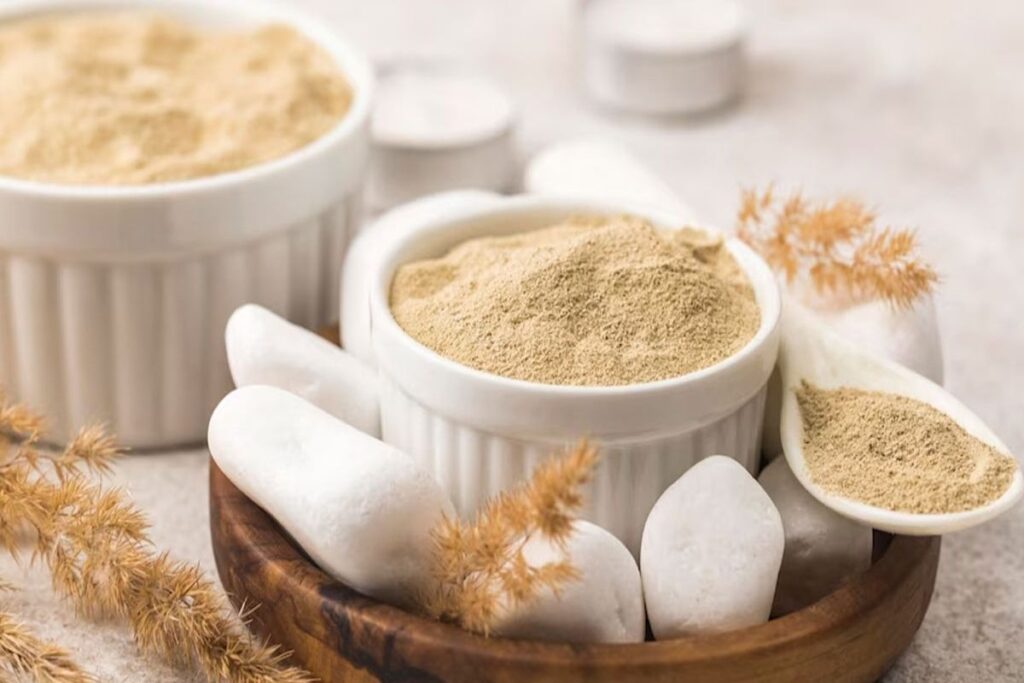 Homemade Protein Powder