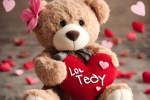 Teddy Day 2024