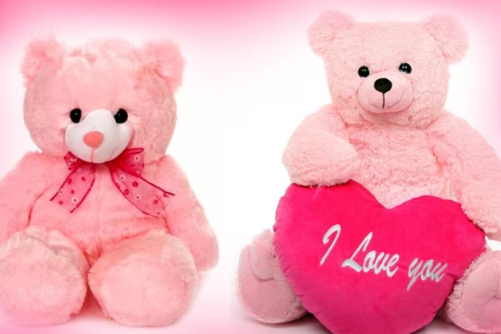 Teddy Day 2024