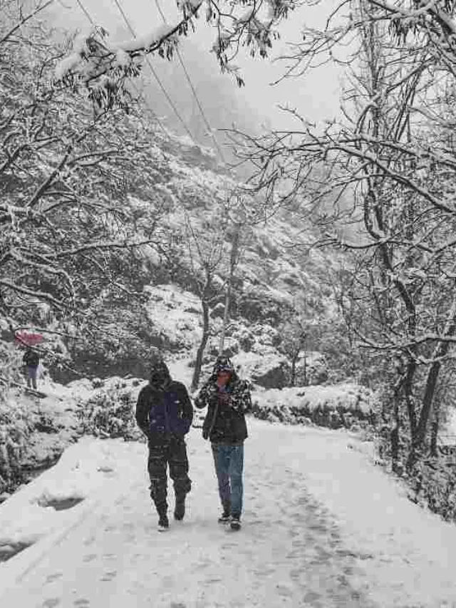 कश्मीर में बर्फबारी से खिले सैलानियों के मुरझाये चेहरे, फोटोज में देखे खुबसूरती