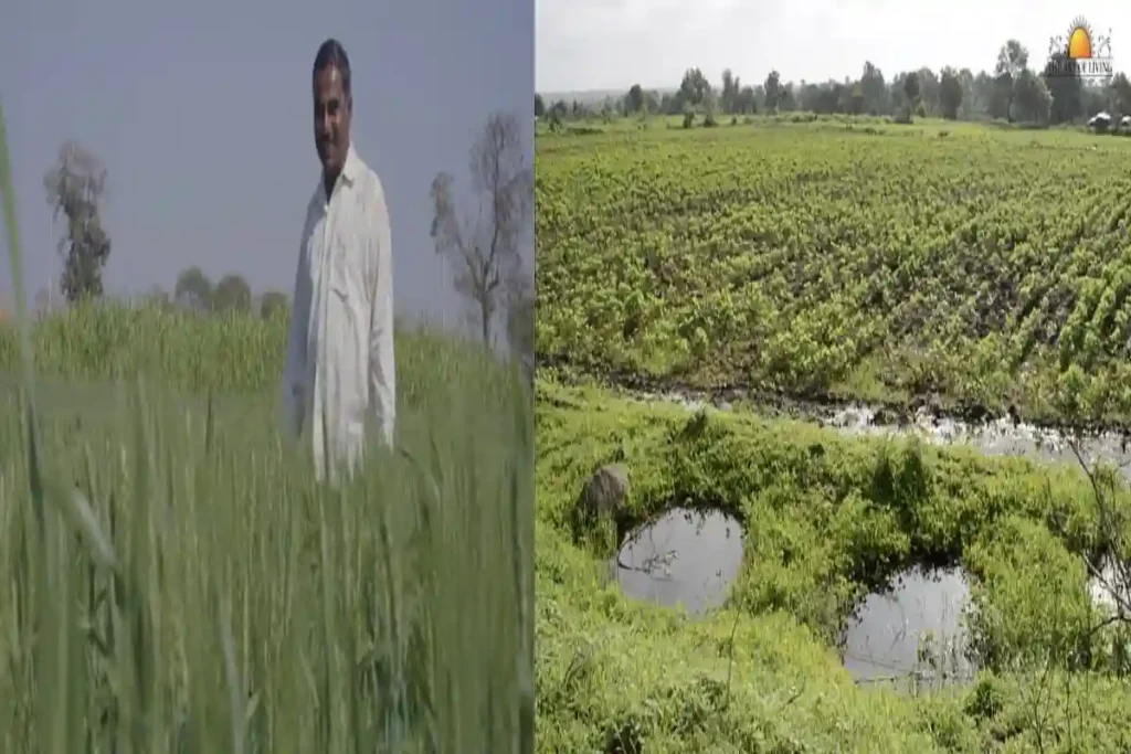 Jaltara project