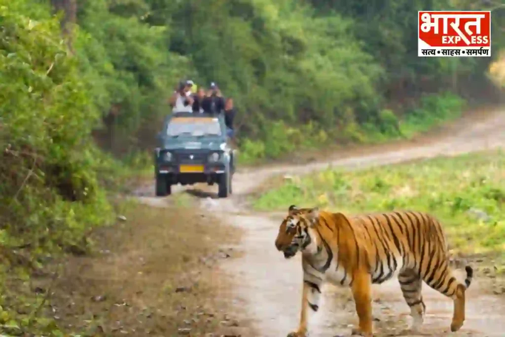 Jim Corbett Park uttarakhand