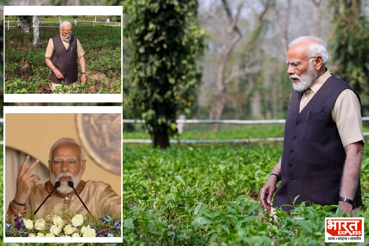 PM Modi on Assam tea