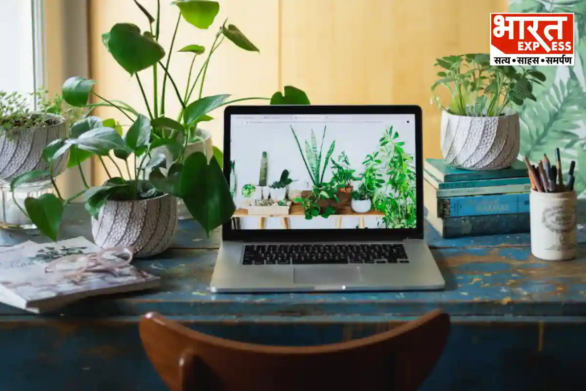 Vastu Tips: ऑफिस में डेस्क पर भूल से भी ना रखें ये पौधे, प्रमोशन में आएगी रुकावट; मन रहेगा परेशान