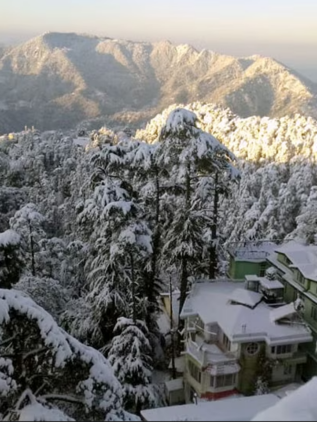 हिमाचल में एवलांच, जम्मू-कश्मीर में हो रही भारी बर्फबारी, देखें PHOTOS