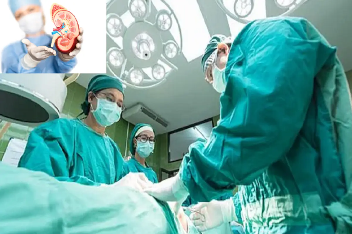 Central Government will investigate organ transplant of foreigners in India