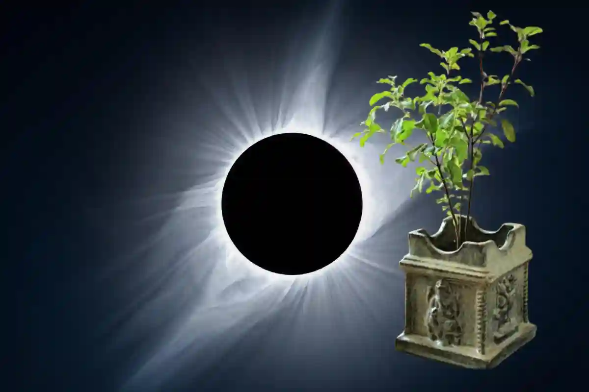 Solar Eclipse 2024 Mistakes