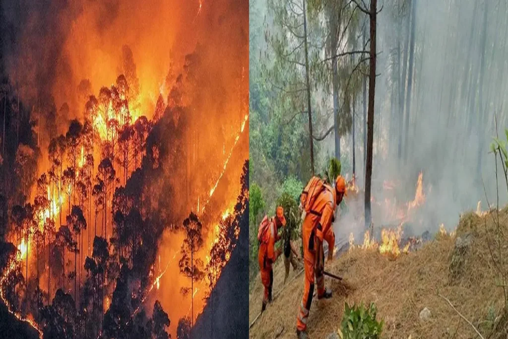 Uttarakhand Forest Fire