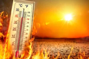 दिल्ली, हरियाणा और पंजाब को अभी और झुलसाएगी गर्मी, IMD ने मौसम को लेकर जारी किया अलर्ट