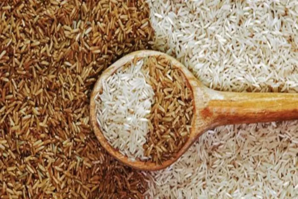 brown rice vs white rice which is better