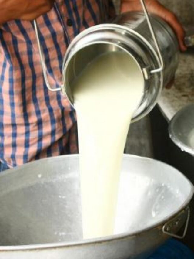 5 से 7 हजार रुपये लीटर बिक रहा है इस जानवर का दूध, शख्स हुआ मालामाल
