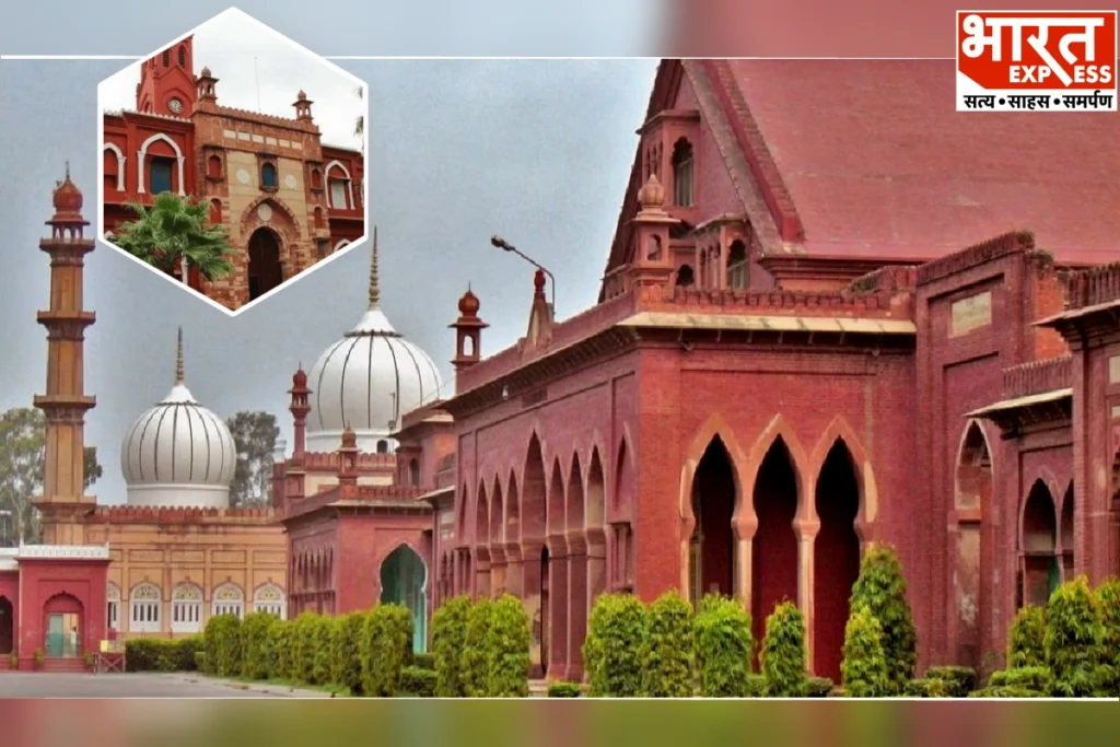 Aligarh Muslim University photo