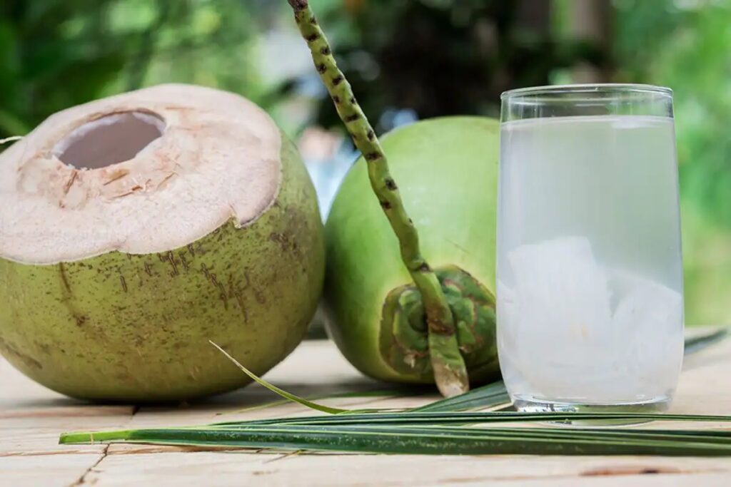Coconut Water For Weight Loss