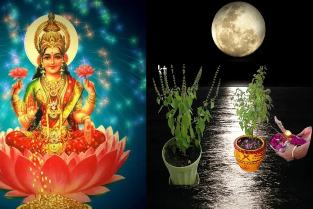 Buddha Purnima lakshmi Tulsi