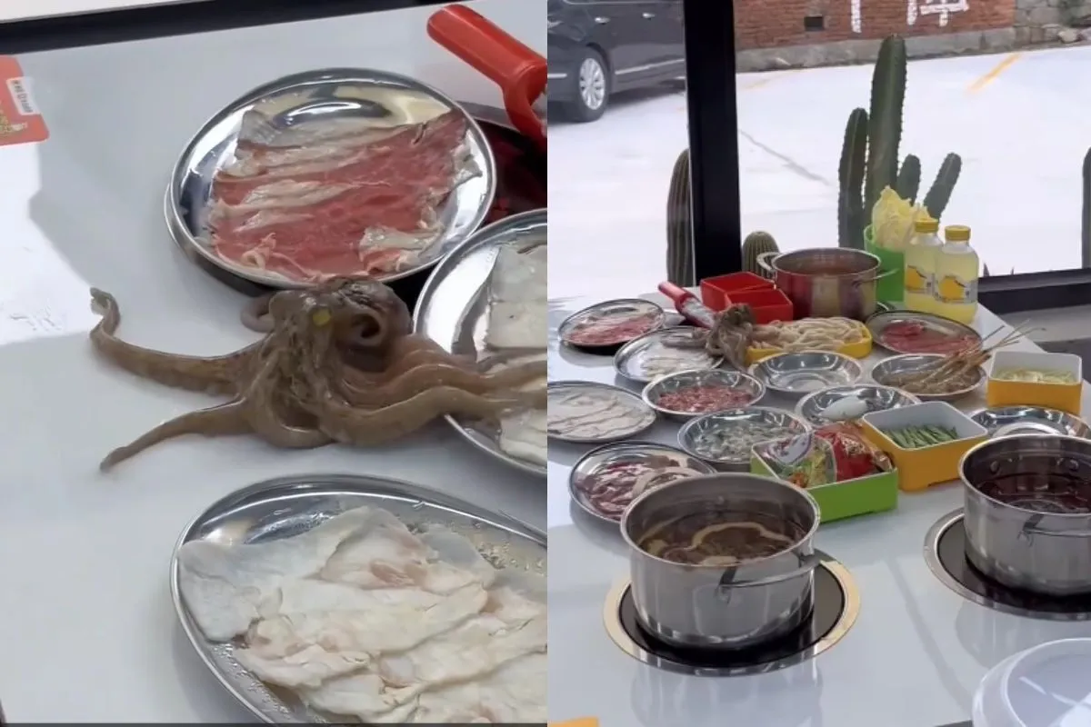 Octopus Viral Video