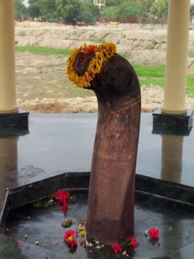 भगवान कृष्ण के श्राप से बना पत्थर कालिया नाग, आज भी इस जगह पर है मौजूद है