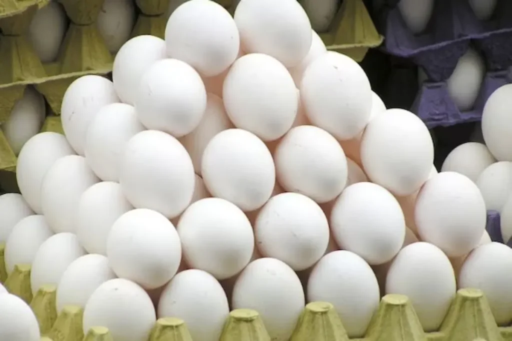 Egg Benfits in Summer