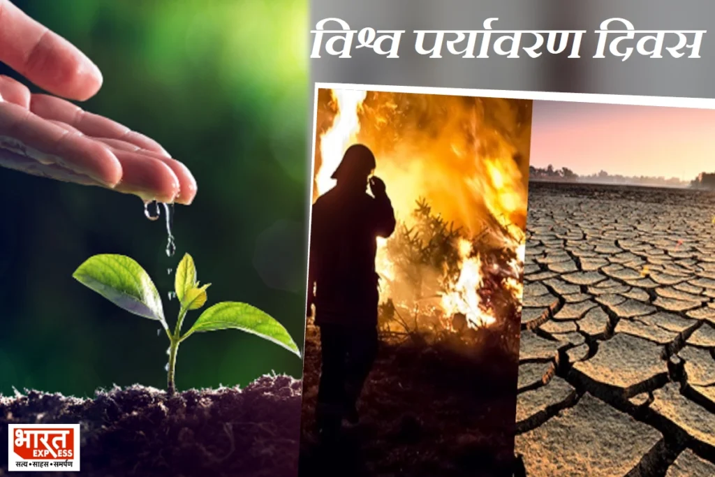 World Environment Day 2024