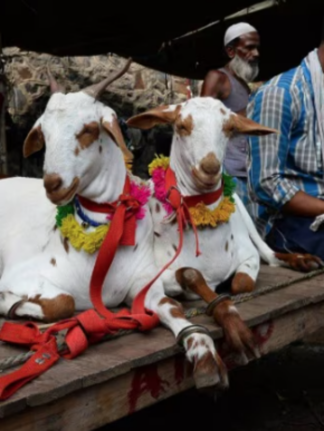 Eid al-Adha 2024: जानें इस दिन क्यों दी जाती है बकरों की कुर्बानी?