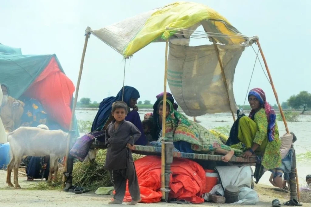 Pakistan People A
