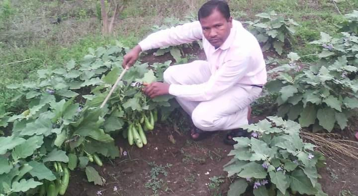 farmer tarachand belji story 