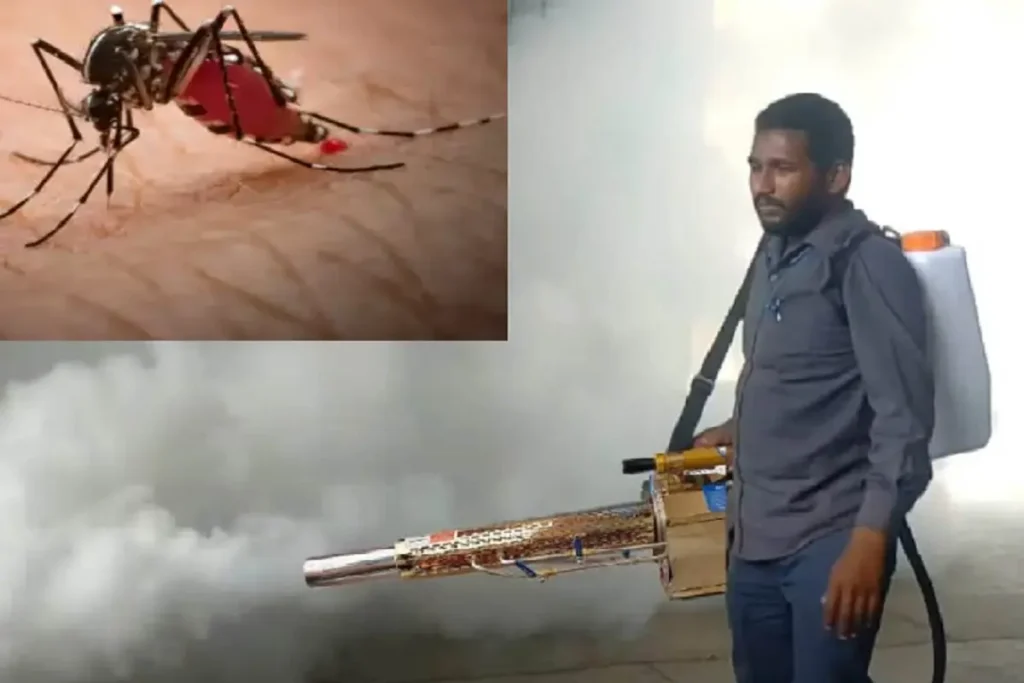 mosquito borne disease