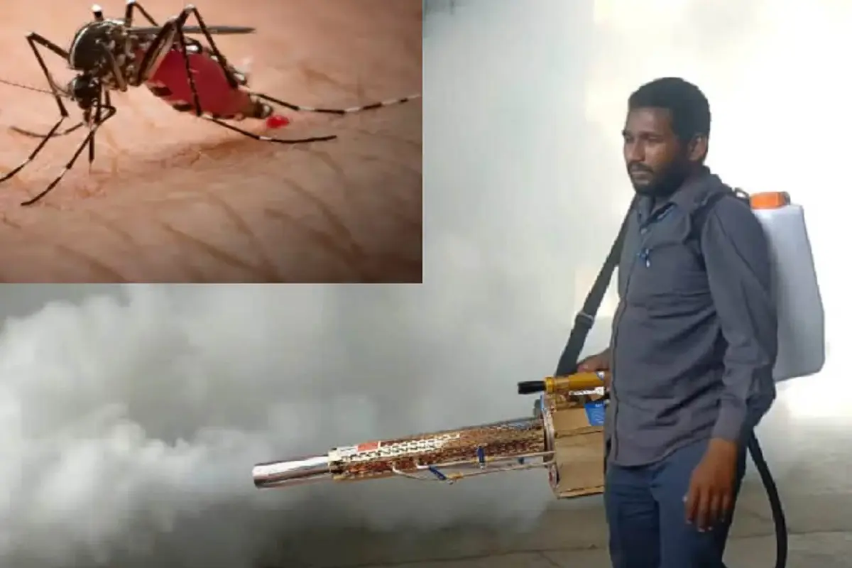 क्या वाकई धुएं वाली गाड़ी से मर जाते हैं सारे मच्छर? जानें क्या है सच्चाई; हर साल दुनियाभर में इतने लोगों की मौत के जिम्मेदार होते हैं Mosquitos
