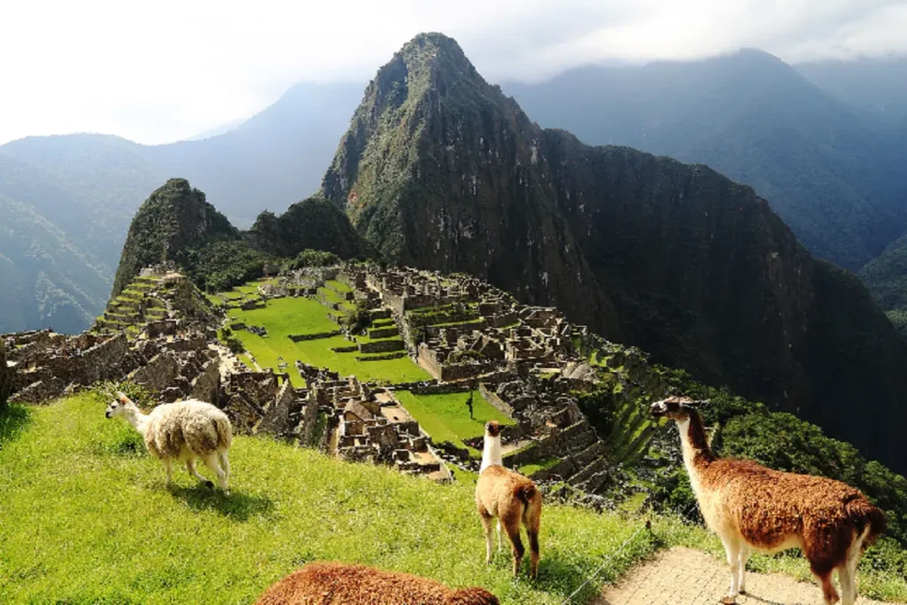 peru
