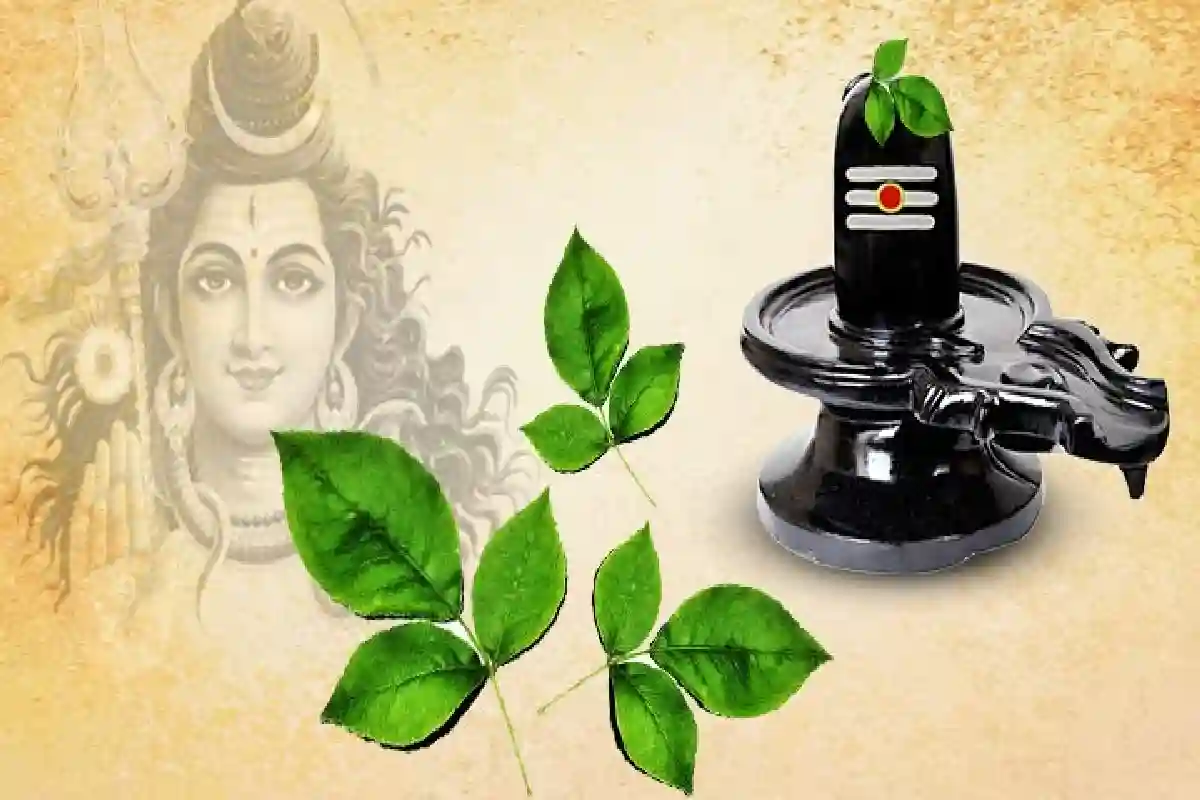 shivling shiv ji