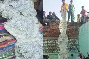 दूल्हे ने पहना इतना लम्बा हार कि पहुंच गया पड़ोसी की छत पर…देखने के लिए जुटा पूरा गांव, फूलों का नहीं किया गया इस्तेमाल-Video