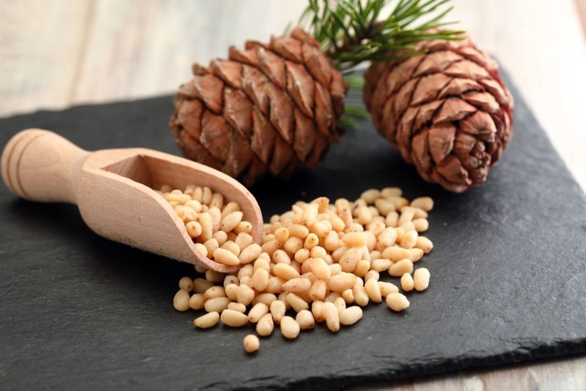 Benefits Of Pine Nuts