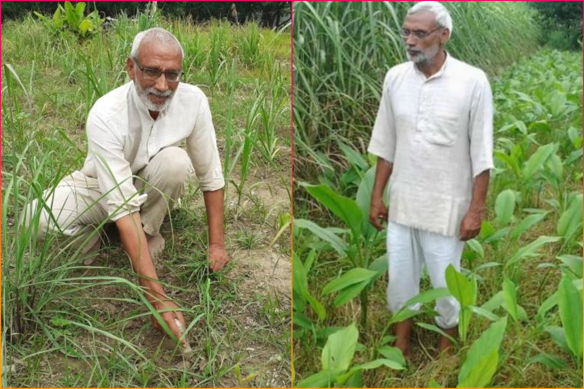 भारत भूषण त्यागी: ‘खेत एक, फसल अनेक’ का नियम बनाकर जैविक खेती को दिया बढ़ावा