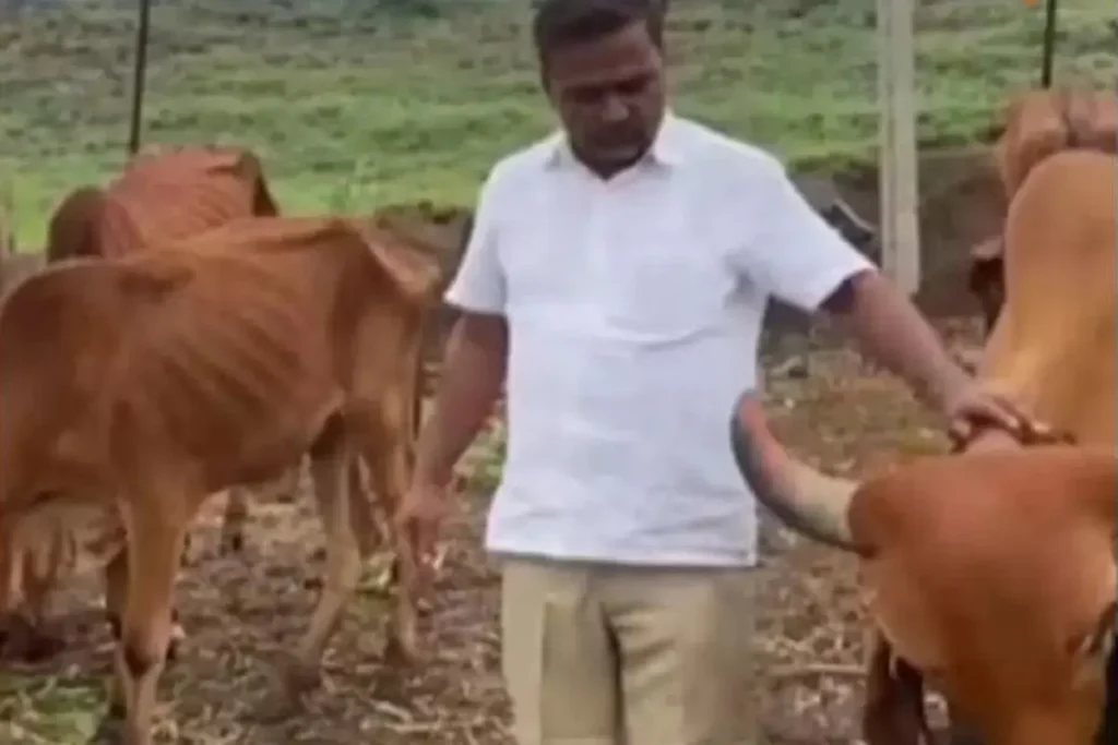 Maharashtra News