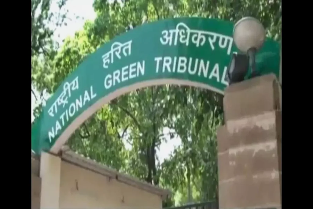 Delhi: NGT rise que DDA yamuna