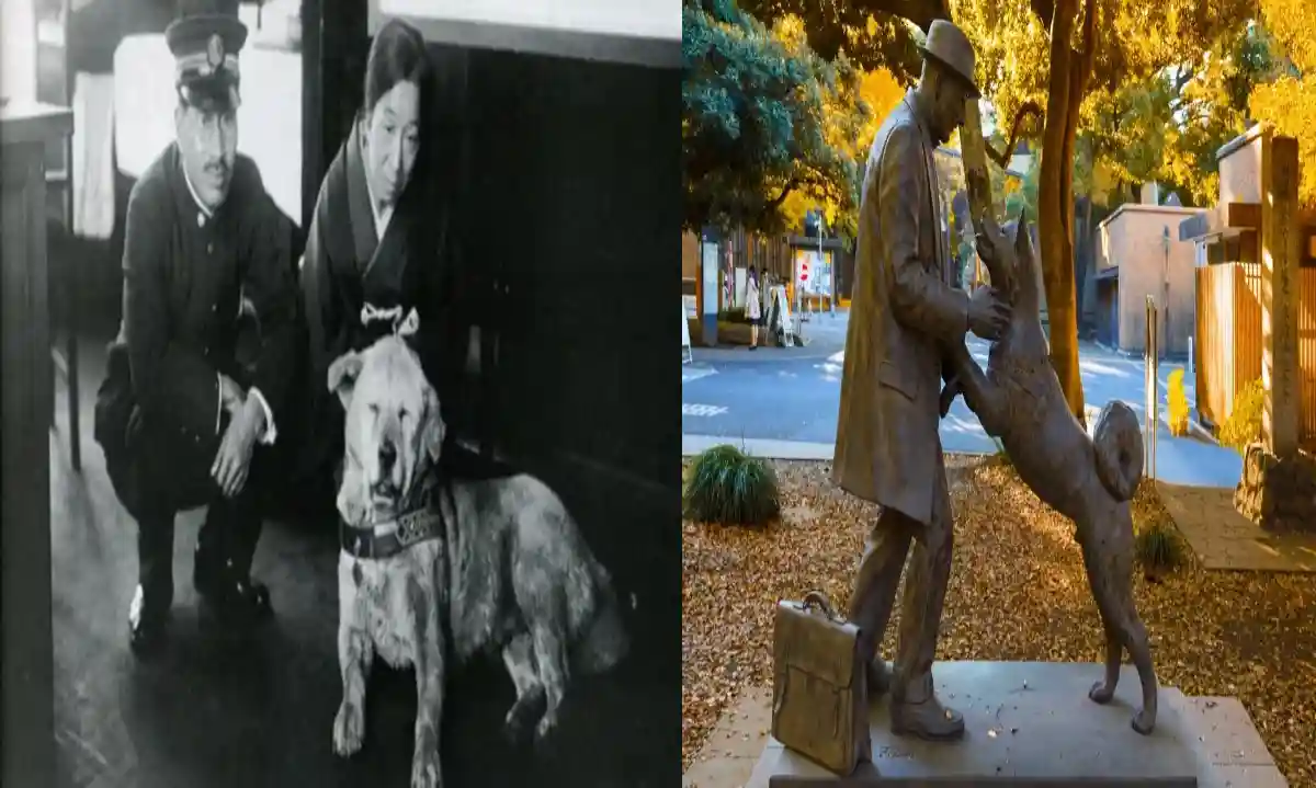 Hachiko and Ueno