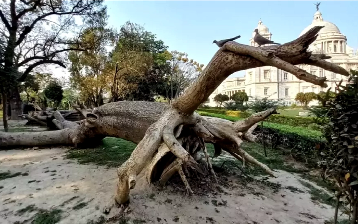 KOLKATA Victoria Memorial