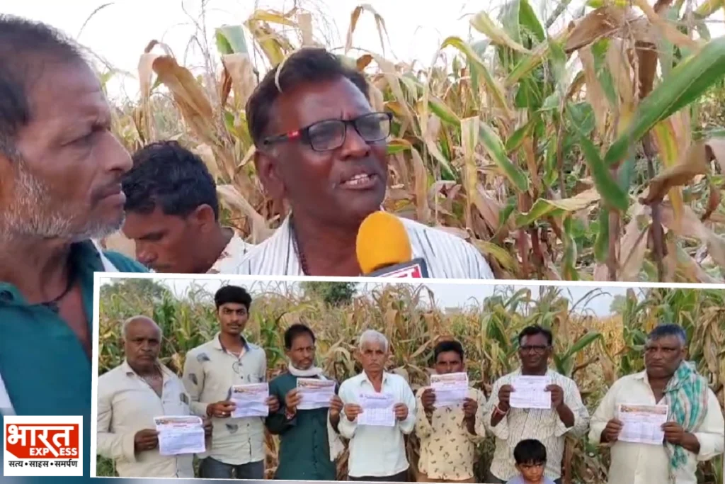 Khargone Corn Farmers